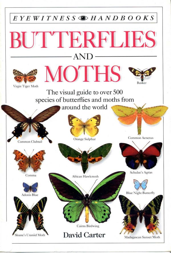 Butterflies and Moths - 592 CAR